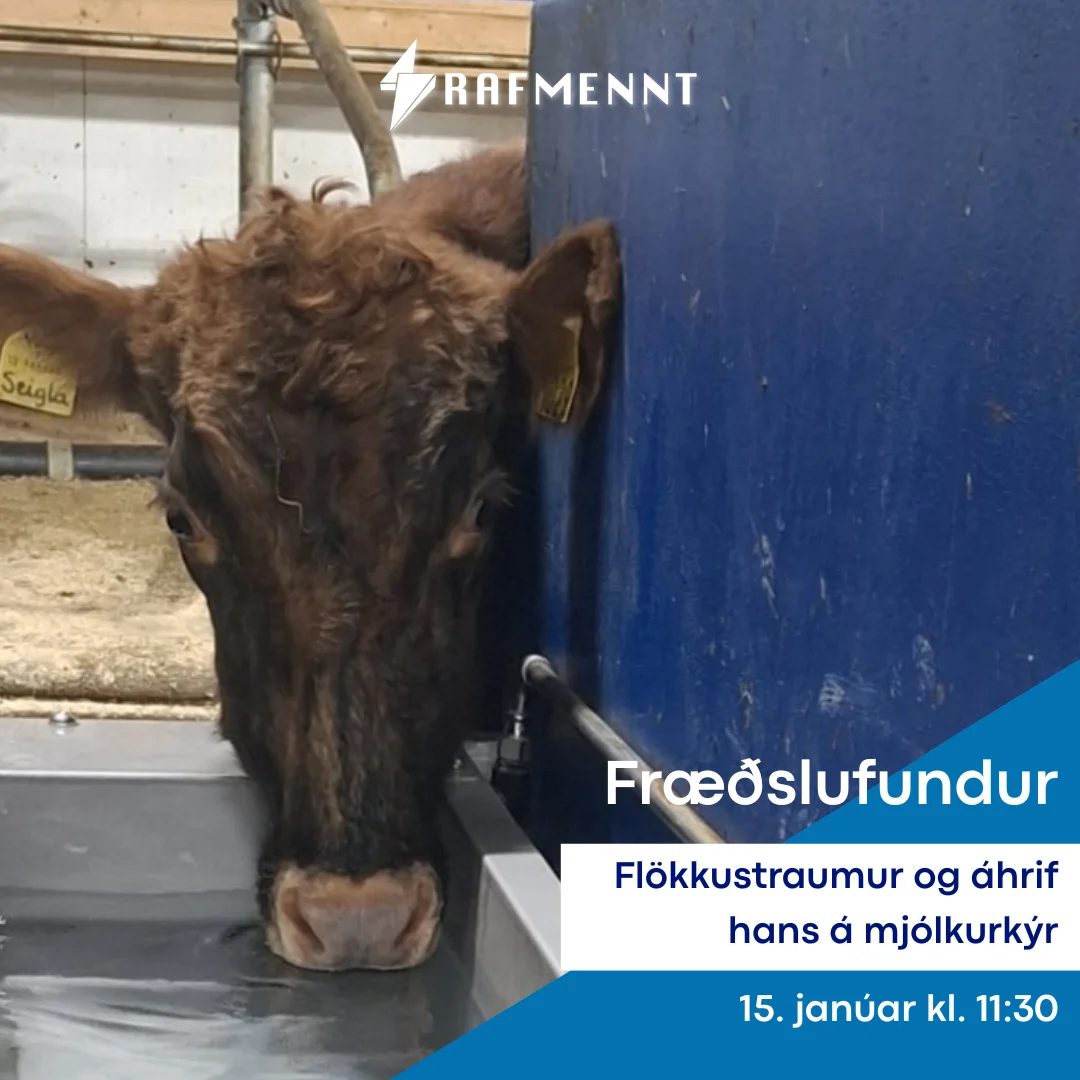 Fræðslufundur: Flökkustraumur og áhrif hans á mjólkurkýr