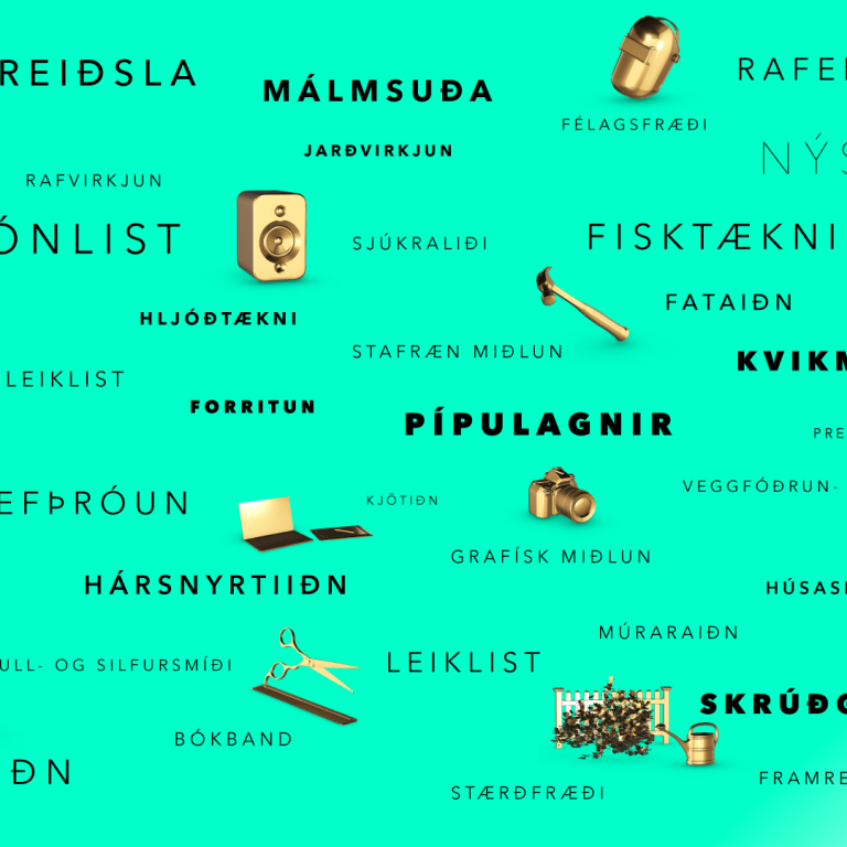Rafmennt á Mín Framtíð 2025