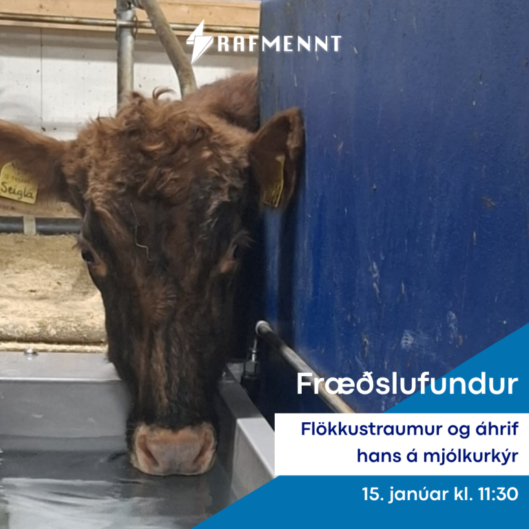 Fræðslufundur: Flökkustraumur og áhrif hans á mjólkurkýr